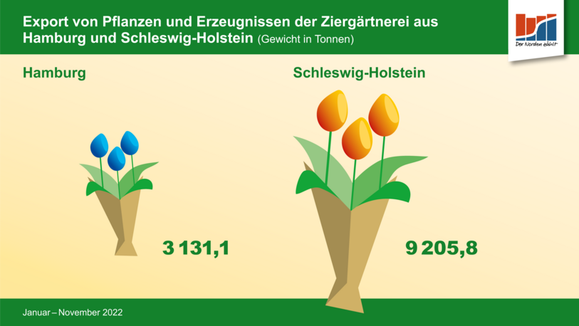 Grafik zum Valentinstag: Export von Pflanzen und Erzeugnissen der Ziergärtnerei aus Hamburg und Schleswig-Holstein 