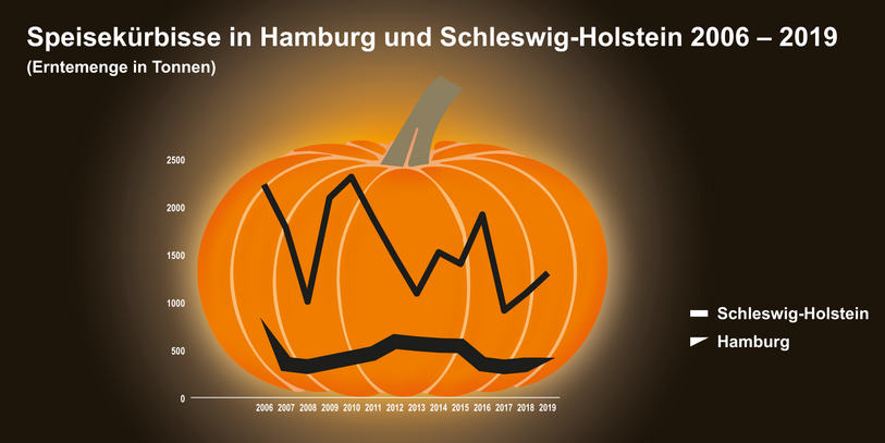Grafik zur Kürbisente in Hamburg und Schleswig-Holstein