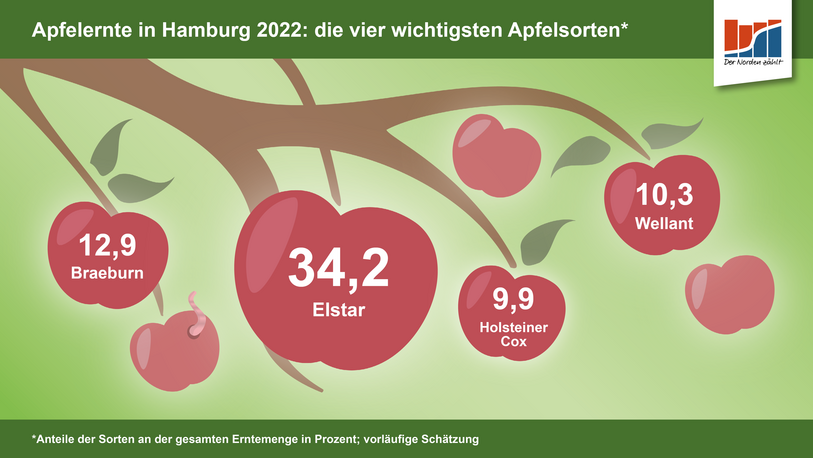 Grafik zur Apfelernte